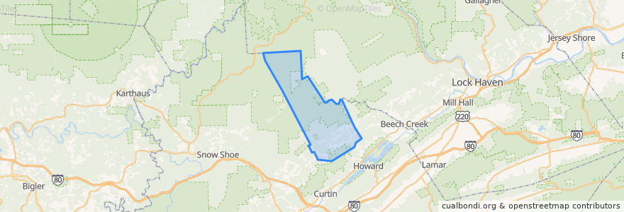 Mapa de ubicacion de Curtin township.