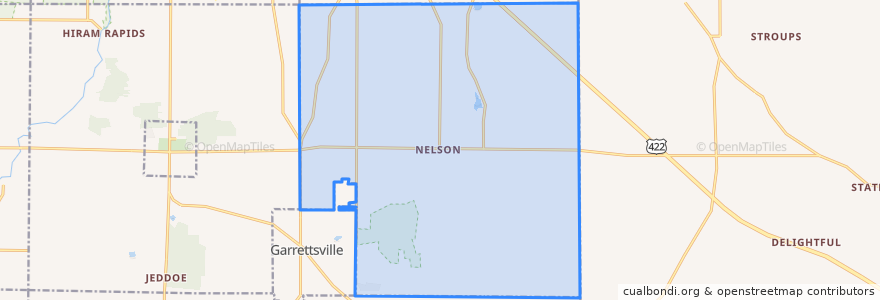 Mapa de ubicacion de Nelson Township.