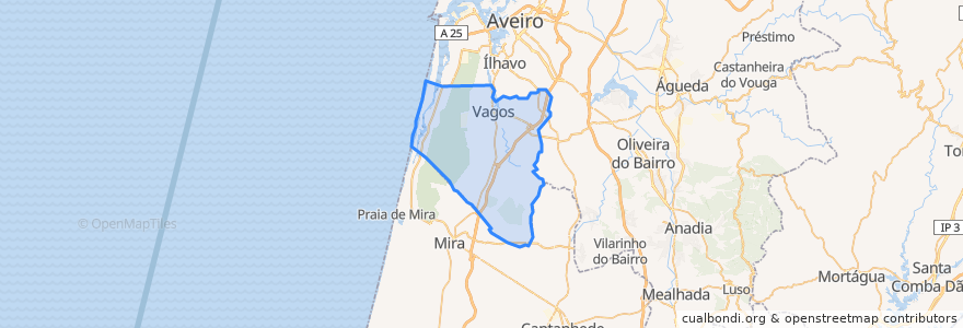 Mapa de ubicacion de Vagos.