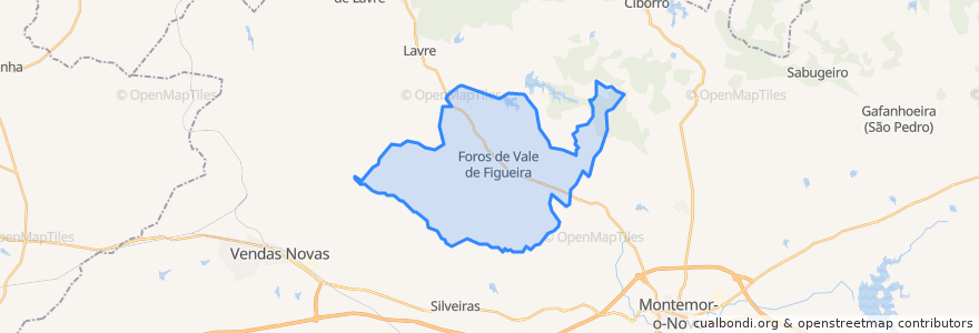 Mapa de ubicacion de Foros de Vale de Figueira.