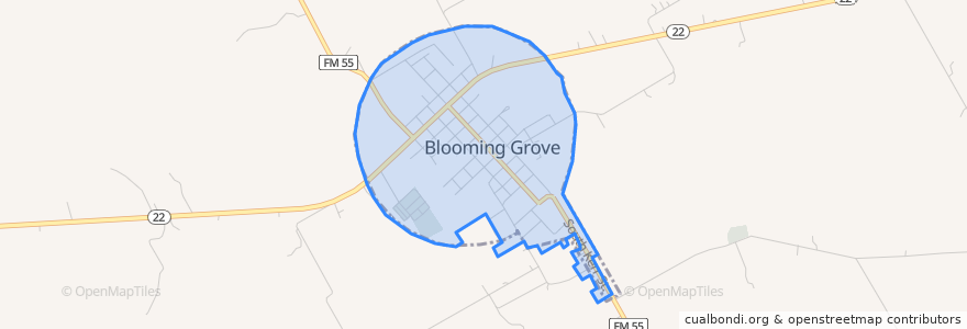 Mapa de ubicacion de Blooming Grove.