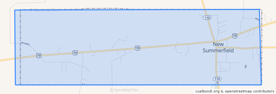 Mapa de ubicacion de New Summerfield.