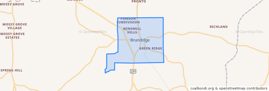 Mapa de ubicacion de Brundidge.