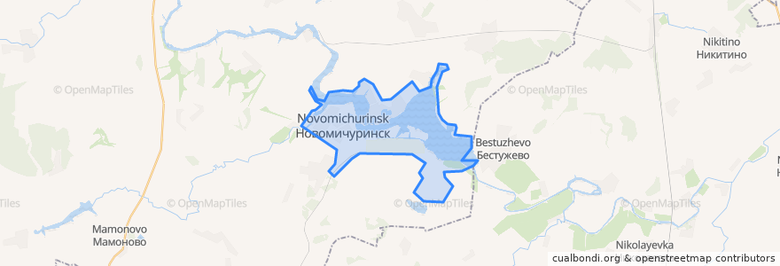 Mapa de ubicacion de Новомичуринское городское поселение.