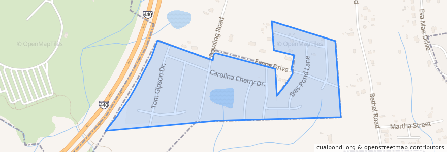 Mapa de ubicacion de City of Raleigh.