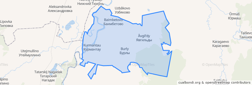 Mapa de ubicacion de Бурлинский сельсовет.