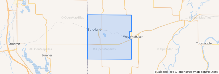 Mapa de ubicacion de Town of Strickland.