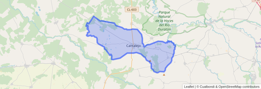 Mapa de ubicacion de Cantalejo.