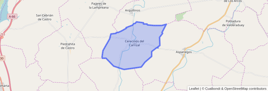 Mapa de ubicacion de Cerecinos del Carrizal.