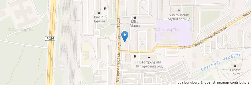Mapa de ubicacion de Моя аптека en روسيا, Сибирский Федеральный Округ, نوفوسيبيرسك أوبلاست, Городской Округ Новосибирск.