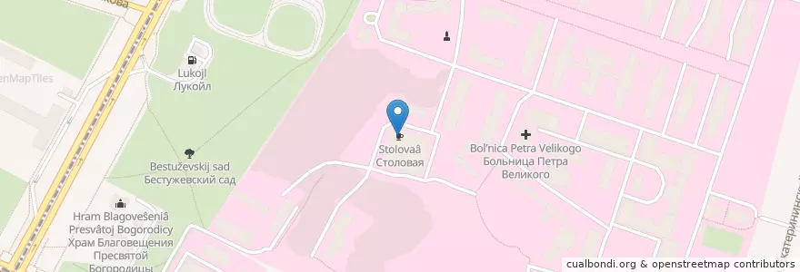 Mapa de ubicacion de Столовая en Russia, Northwestern Federal District, Leningrad Oblast, Saint Petersburg, Красногвардейский Район, Округ Полюстрово.