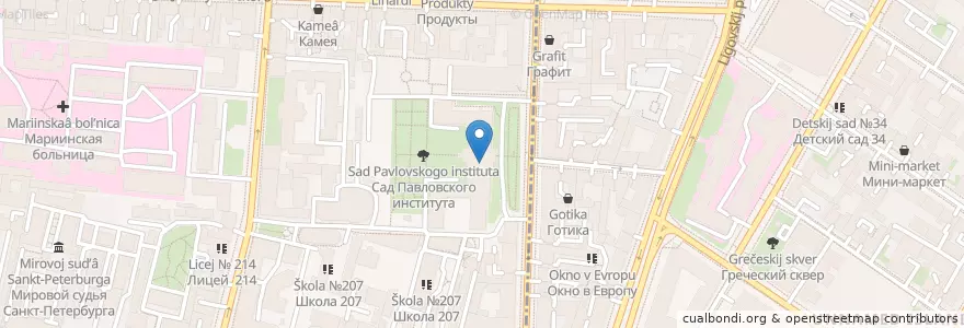 Mapa de ubicacion de Гимназия №209 en Russia, Северо-Западный Федеральный Округ, Oblast' Di Leningrado, San Pietroburgo, Центральный Район.