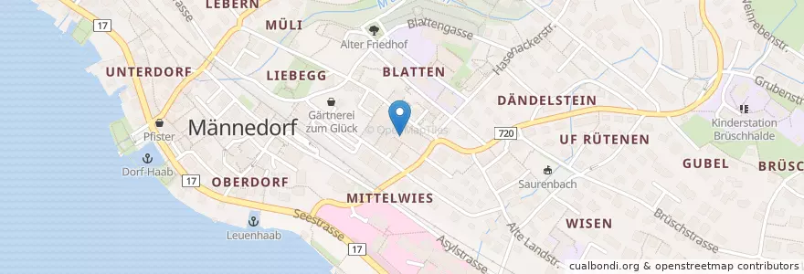 Mapa de ubicacion de Art en 瑞士, 蘇黎世, Bezirk Meilen, Männedorf.