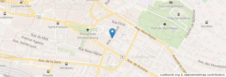 Mapa de ubicacion de Le Nil Bleu en Switzerland, Vaud, District De Lausanne, Lausanne.