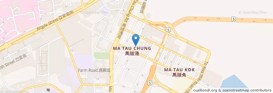Mapa de ubicacion de Metropolitan Rise en 中国, 广东省, 香港, 九龍, 新界, 九龍城區.