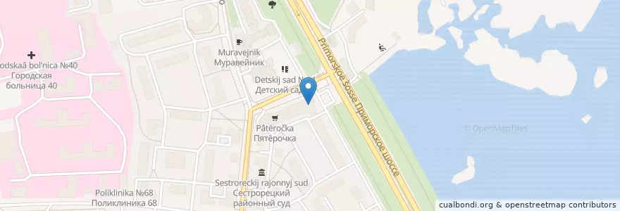 Mapa de ubicacion de Евразия en Rusland, Северо-Западный Федеральный Округ, Oblast Leningrad, Sint-Petersburg, Курортный Район, Сестрорецк.