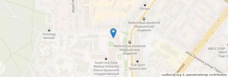 Mapa de ubicacion de Научная библиотека ЮУГМУ en Russie, District Fédéral De L'Oural, Oblast De Tcheliabinsk, Челябинский Городской Округ.
