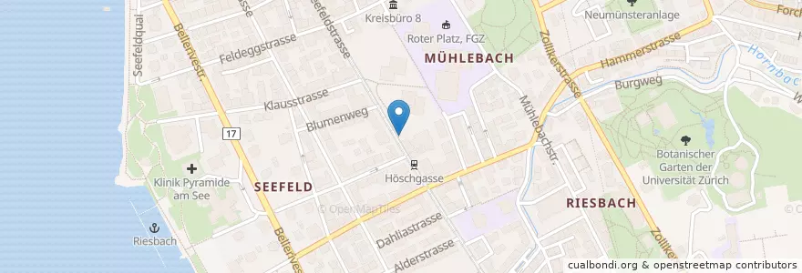 Mapa de ubicacion de Höschgasse en Schweiz, Zürich, Bezirk Zürich, Zürich.