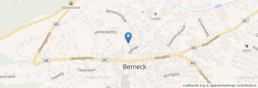 Mapa de ubicacion de Feuerwehr Berneck en İsviçre, Sankt Gallen, Wahlkreis Rheintal, Berneck.