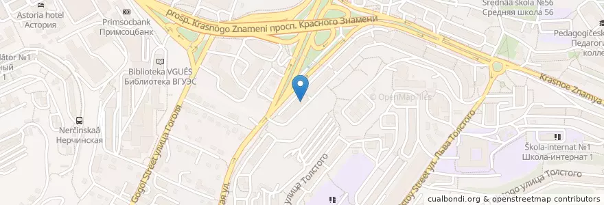 Mapa de ubicacion de Почтовое отделение №14 en روسيا, Дальневосточный Федеральный Округ, بريمورسكي كراي, Владивостокский Городской Округ.