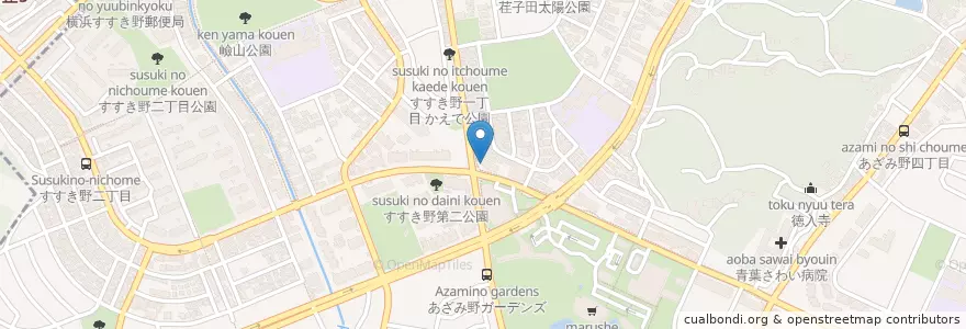Mapa de ubicacion de ペットクリニック いしかわ動物病院 en Japón, Prefectura De Kanagawa, Yokohama, 青葉区.