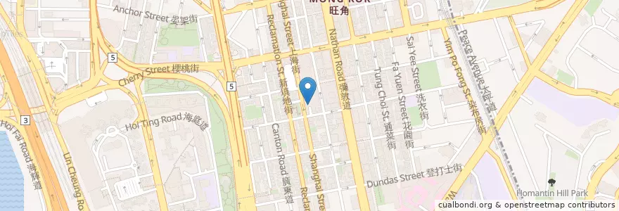 Mapa de ubicacion de Langham Place en 中国, 广东省, 香港 Hong Kong, 九龍 Kowloon, 新界 New Territories, 油尖旺區 Yau Tsim Mong District.
