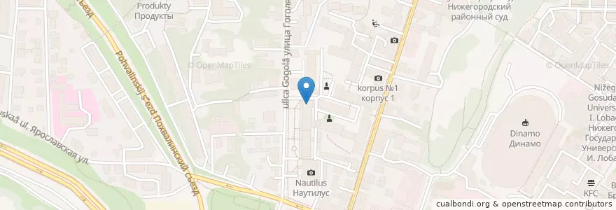 Mapa de ubicacion de Библиотека ННГАСУ en Russie, District Fédéral De La Volga, Oblast De Nijni Novgorod, Городской Округ Нижний Новгород.