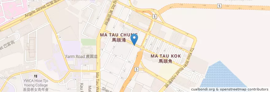Mapa de ubicacion de BEA en 中国, 广东省, 香港 Hong Kong, 九龍 Kowloon, 新界 New Territories, 九龍城區 Kowloon City District.