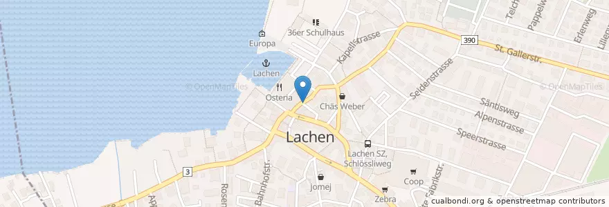 Mapa de ubicacion de Fasnachtsbrunnen en Svizzera, Svitto, March, Lachen.