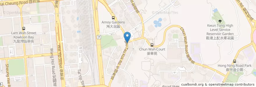 Mapa de ubicacion de BOC en 中国, 広東省, 香港, 九龍, 新界, 觀塘區 Kwun Tong District.