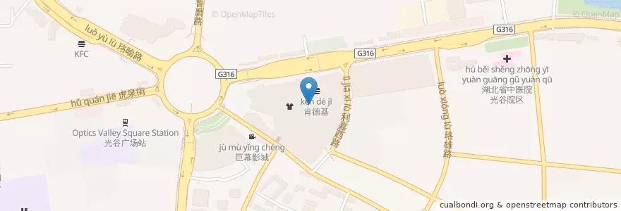 Mapa de ubicacion de 麦当劳 en 中国, 湖北省, 武汉市, 洪山区, 东湖新技术开发区（托管）, 关东街道.