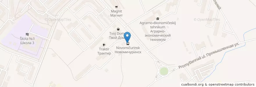Mapa de ubicacion de Новомичуринск en Russie, District Fédéral Central, Oblast De Riazan, Пронский Район, Новомичуринское Городское Поселение.