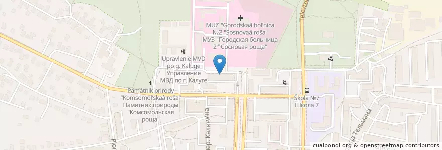 Mapa de ubicacion de Детская городская поликлиника №2 en Russland, Föderationskreis Zentralrussland, Oblast Kaluga, Городской Округ Калуга.