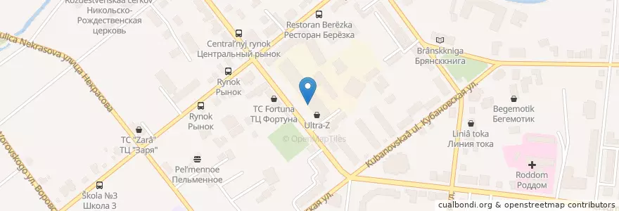 Mapa de ubicacion de Чикен-Пицца en روسیه, Центральный Федеральный Округ, Брянская Область, Новозыбковский Городской Округ.