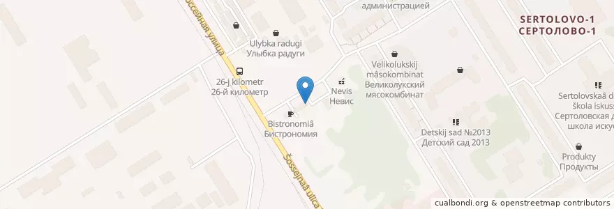 Mapa de ubicacion de Союз en Russia, Northwestern Federal District, Leningrad Oblast, Vsevolozhsky District, Сертоловское Городское Поселение.