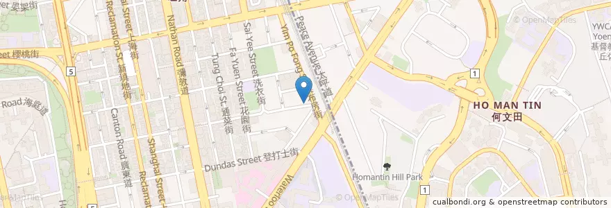Mapa de ubicacion de Newstar Seafood en 中国, 广东省, 香港 Hong Kong, 九龍 Kowloon, 新界 New Territories, 油尖旺區 Yau Tsim Mong District.