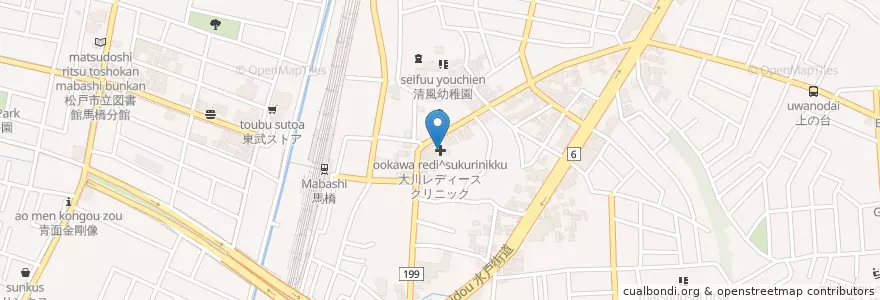 Mapa de ubicacion de 大川レディースクリニック en 日本, 千葉県, 松戸市.