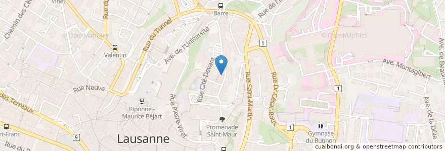 Mapa de ubicacion de La Pomme de Pin en Швейцария, Во, District De Lausanne, Lausanne.