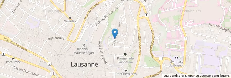 Mapa de ubicacion de Il Ghiotto en سويسرا, فود, District De Lausanne, لوزان.