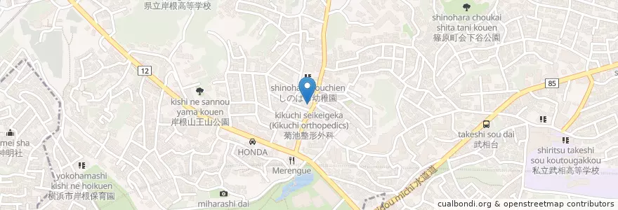 Mapa de ubicacion de 菊池整形外科 (Kikuchi orthopedics) en 日本, 神奈川県, 横浜市, 港北区.