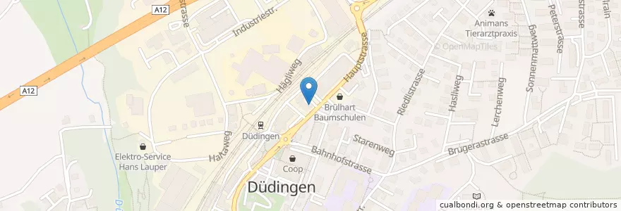 Mapa de ubicacion de Dr. med. Carmen Lehmann en Schweiz/Suisse/Svizzera/Svizra, Fribourg/Freiburg, Sensebezirk, Düdingen.