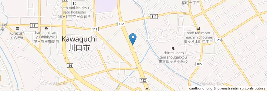 Mapa de ubicacion de 鳩ヶ谷市在宅介護支援センターさと en Japon, Préfecture De Saitama, 川口市.