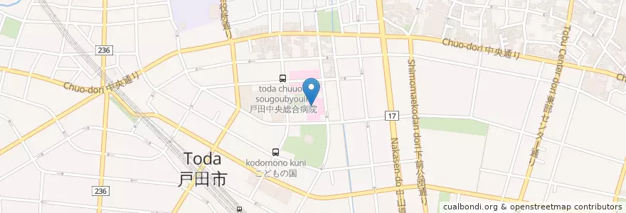 Mapa de ubicacion de 東光会戸田中央総合病院 en 日本, 埼玉県, 戸田市.