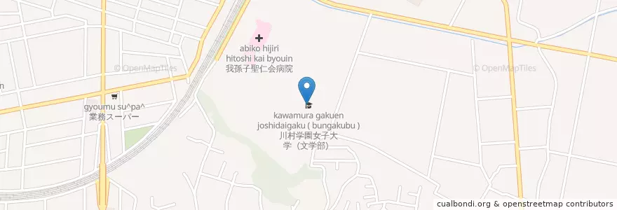 Mapa de ubicacion de 川村学園女子大学（文学部） en 日本, 千葉県, 我孫子市.