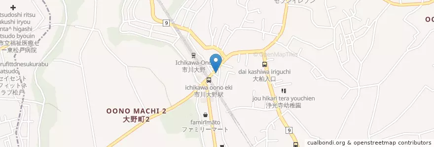 Mapa de ubicacion de 市川警察署大野駅前交番 en 日本, 千葉県, 市川市.
