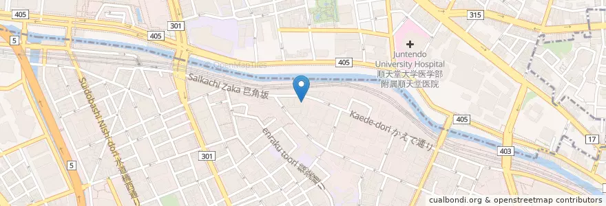 Mapa de ubicacion de ㈶石川文化事業財団お茶の水図書館 en Japonya, 東京都, 千代田区.