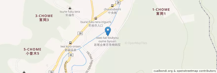 Mapa de ubicacion de 岩尾会東京青梅病院 en Japan, Tokio, 青梅市.