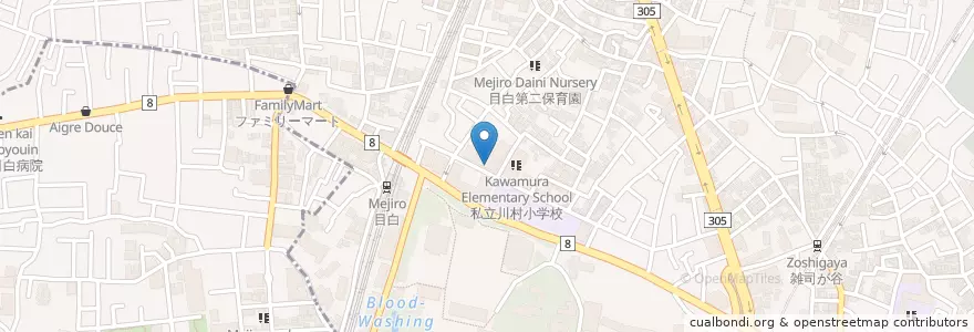 Mapa de ubicacion de 川村幼稚園 en Japon, Tokyo, 豊島区.