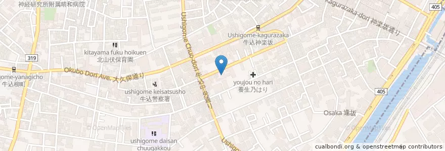 Mapa de ubicacion de 愛日幼稚園 en Japon, Tokyo, Shinjuku.