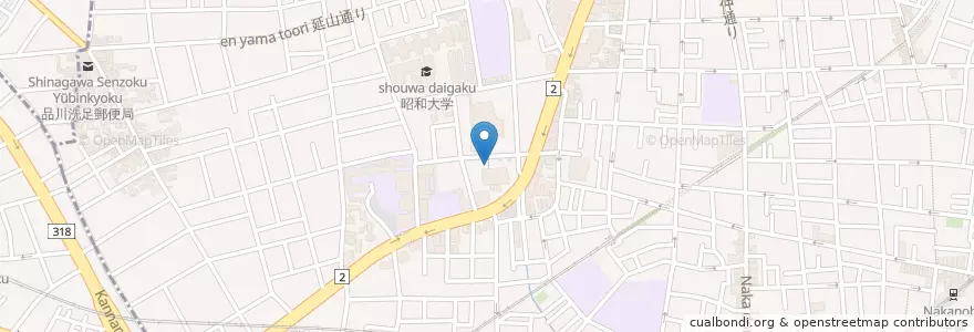 Mapa de ubicacion de 昭和大学（薬学部） en Japan, Tokio, 品川区.
